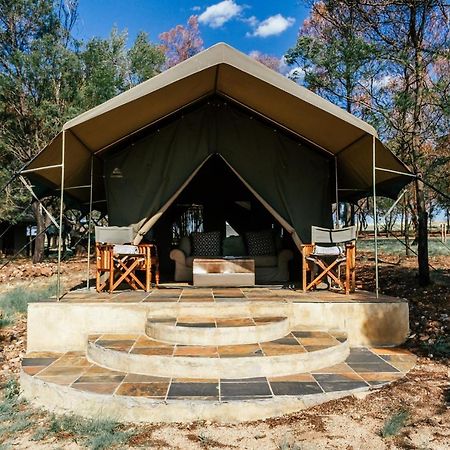 Sibani Lodge - Glamping Tents Krugersdorp Exterior photo